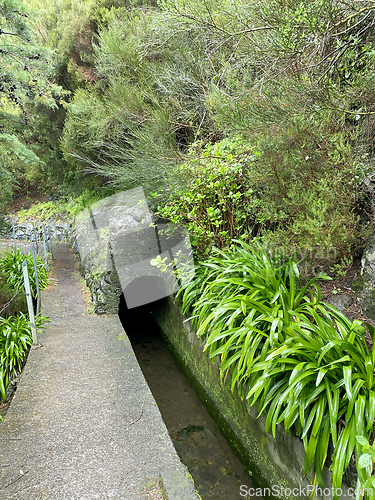 Image of beautiful Madeira landscape