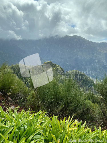 Image of beautiful Madeira landscape