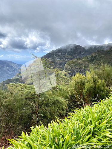 Image of beautiful Madeira landscape