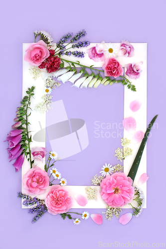 Image of Herbal Medicine Flowers for Natural Healing 