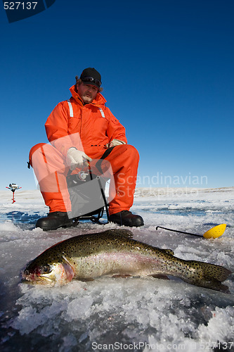 Image of Catch of the day