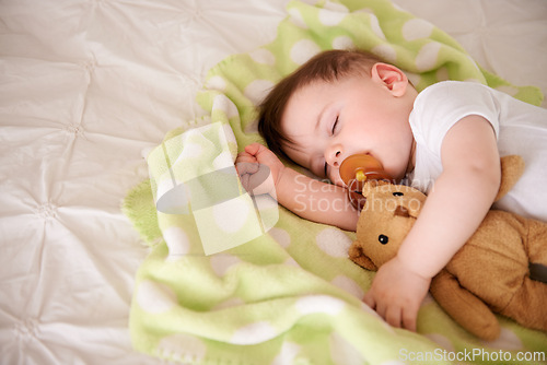 Image of Infant, sleep and bed with teddy bear in bedroom to rest, relax with dummy and dream. Home, toddler and afternoon nap for child development, growth and innocent baby, peace and bedtime with routine