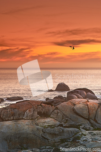 Image of Ocean, sunset or seagull flying in air with rocks or sustainable environment of birds in nature. Golden sky, clouds or sunlight on water on beach, calm or cape town for tourist destination to travel