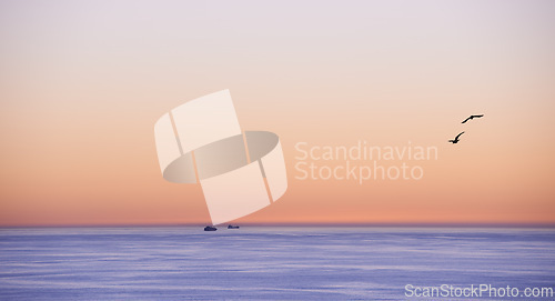 Image of Ocean, sunset or sand seagulls on seascape in island, flying or summer migration or bird in nature. Sky, clouds or neon color on torrey pines beach, calm or outdoor travel in california or landscape