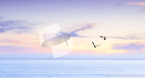 Image of Ocean, sunrise and seagull flying in air in morning and tropical island with birds in nature. Blue sky, clouds and sunlight on water on beach, calm and cape town for tourist destination to travel
