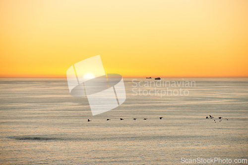 Image of Ocean, sunset or sunrise in morning on island or birds flying on seascape for summer migration in nature. Golden sky, clear or ship on water to travel in marine industry for calm on natural landscape