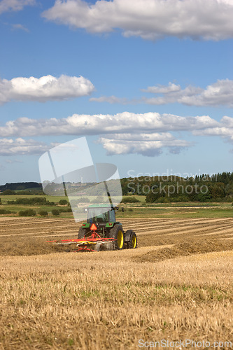 Image of Field, grass and tractor for farming rice, agriculture and sustainability in countryside or environment. Farmer plough for wheat, plants and harvesting on land for production, supply chain and nature