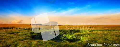 Image of Sky, field and landscape of countryside with meadow, agro farming or plant growth in nature. Background, travel and environment with horizon, green lawn or natural pasture for grass, crops or ecology