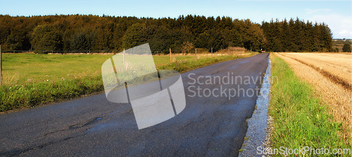 Image of Road, landscape and trees with field in countryside for travel, adventure and roadtrip with forest in nature. Street, path and location in Denmark with tarmac, roadway and environment for tourism