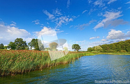 Image of Nature, blue sky and lake with trees for environment, ecosystem and ecology outdoors. Natural background, landscape and aerial of water for scenic view, travel destination and terrain in countryside