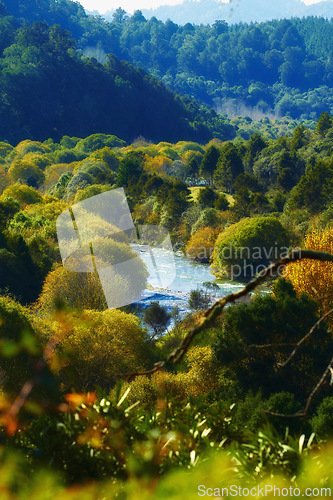 Image of Nature, forest and river with trees for environment, ecosystem and ecology outdoors. Natural background, landscape and aerial of water for scenic view, travel destination and terrain in countryside