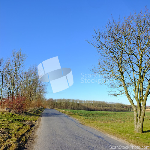 Image of Road, landscape and trees with field in countryside for travel, adventure and roadtrip with forest in nature. Street, path and location in Amsterdam with blue sky, roadway and environment for tourism