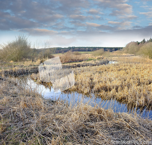 Image of Nature, landscape and river in field for environment, ecosystem and ecology outdoors. Natural background, landscape and water or lake for scenic view, travel destination and terrain in countryside