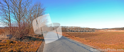 Image of Road, landscape and trees with field in countryside for travel, adventure and autumn with blue sky in nature. Street, path and location in Amsterdam with tarmac, roadway and environment for tourism