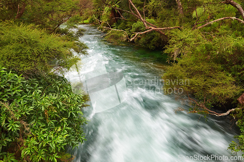 Image of Nature, forest and fast river with trees for environment, ecosystem and ecology outdoors. Natural background, landscape and water flow for scenic view, travel destination and terrain in countryside