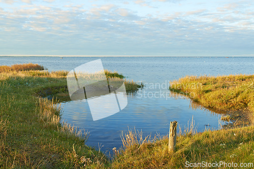 Image of Lake, field and landscape with sky in horizon, grass and environment with sunshine in Jutland. Water, sea or dam with clouds, sustainability and ecology for earth in summer at countryside in Denmark