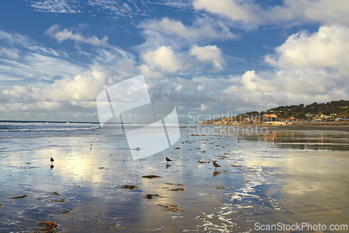 Image of Birds, ocean and landscape of beach in Hawaii for tropical holiday, vacation and travel destination. Nature, island and seashore, waves and water in summer weekend for location, background or horizon