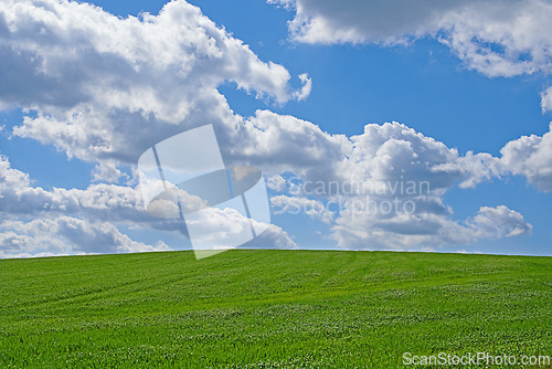 Image of Blue sky, clouds and landscape in summer with sustainability, environment and zen in countryside. Field, nature and beauty with green grass for eco friendly, growth and horizon with lawn on earth
