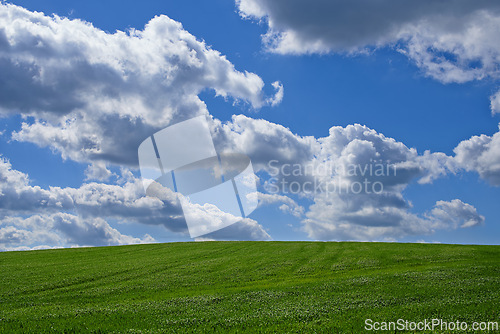 Image of Meadow, landscape and blue sky with clouds for environment, sustainability and perspective in summer. Beauty, nature and field of green grass for eco friendly, growth and horizon of countryside