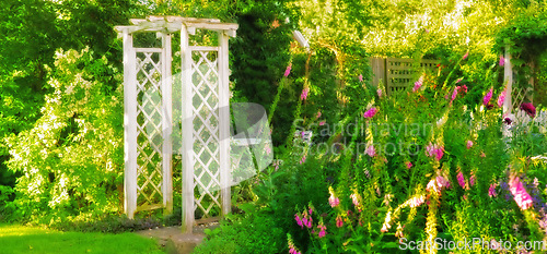 Image of Flower, garden and arch with natural greenery in nature for venue, floral blossoms or outdoor bloom. Plants, wooden structure or empty backyard with growth, wooden frame or design for exterior decor