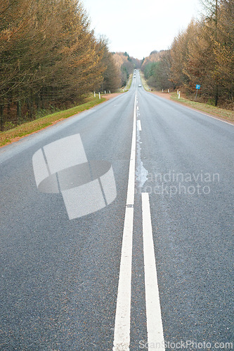 Image of Road, trees and sky in Autumn with overcast weather for journey, travel and trip on highway in Germany. Environment, nature and street at countryside with nature, horizon and view of forest or woods