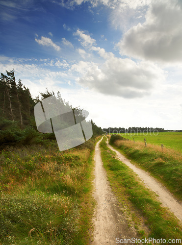 Image of Path, landscape and trees with sky in countryside for travel, adventure and roadtrip with forest in nature. Road, clouds and location in Amsterdam with journey, roadway and environment for tourism
