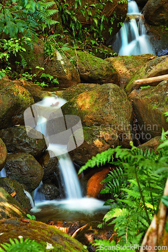 Image of Scenic, nature and waterfall in forest, water and earth in woodland environment. Plants, spring and landscape of peaceful jungle in Puerto Rico, greenery and outdoor rural area for natural ecosystem