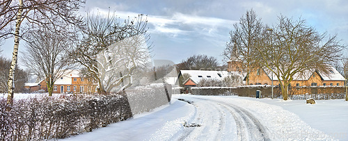 Image of Road, snow and houses with trees in countryside for travel, adventure and ocean with winter in nature. Street, pathway and location in Denmark with direction, roadway or neighbourhood in environment