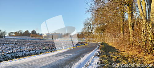 Image of Road, landscape and trees with field in countryside for travel, adventure and roadtrip with snow in nature. Street, pathway and location in Denmark with tarmac, roadway and environment for direction