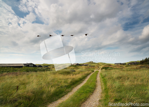 Image of Path, landscape and field with clouds in countryside for travel, adventure or roadtrip with birds in nature. Street, road and location in Amsterdam with journey, roadway and environment for tourism