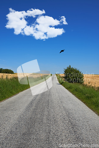 Image of Road, landscape and grass with blue sky in countryside for travel, adventure or roadtrip with birds in nature. Street, clouds or location in Amsterdam with journey, roadway or environment for tourism