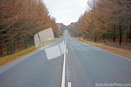 Image of Street, trees and clouds in sky with overcast weather for trip, journey or travel on highway in fall. Environment, nature and street at countryside with nature, horizon and view of forest in Germany