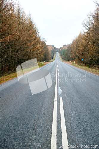 Image of Autumn, trees and sky by highway with overcast weather for journey, trip and travel on road in Germany. Nature, environment and street at countryside with direction, horizon and view of woods