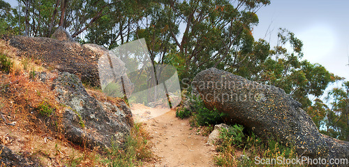 Image of Trail, landscape and rocks with forest in nature for travel, adventure or hiking with path in South Africa. Direction, gravel road or location with plants, roadway or environment for trekking or trip