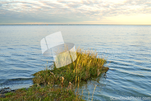 Image of Lake, grass and coast with landscape, horizon and sky in environment with sunshine in Jutland. Water, sea or field with clouds, sustainability or ecology for earth in summer at countryside in Denmark