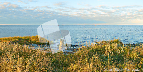 Image of Lake, grass and landscape with sky in horizon, field and environment with sunshine in Jutland. Water, sea or dam with clouds, sustainability and ecology for earth in summer at countryside in Denmark