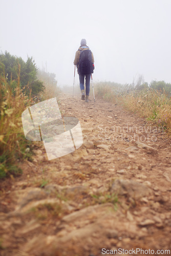 Image of Person, hiking and back for trekking in mountain, adventure and support with sticks for nature trail. Athlete, backpack and sport gear for safety in cold environment, healthy and walking for fitness