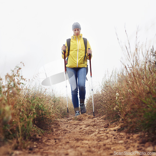 Image of Hiking, woman and walking with trekking pole in a bush path or forest trail for exercise, workout or fitness on winter morning. Adventure, person or hiker in nature with backpack on holiday or travel