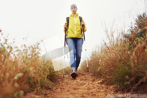 Image of Hiking, woman and exercise with trekking pole in a bush path or forest trail for walking, workout or fitness on winter morning. Adventure, person or hiker in nature with backpack on holiday or travel