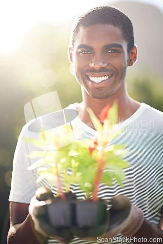 Image of Portrait, happy and planting flowers with black man in garden of home for summer landscaping. Face, nature and smile with young person gardening outdoor in backyard for growth or green cultivation