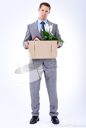 Image of Businessman, suit and box for resignation, fired or transfer at company for liquidation on white backdrop. Employee, worker and sad person for organization loss, fraud and turnover with memorabilia