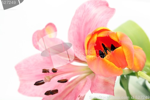 Image of tulip and lily flowers