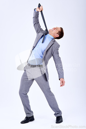 Image of Businessman, studio and strangling with a tie for crisis, stress and company failure by white background. Accountant, bankruptcy and problem in stock market, mistake and loss of investor confidence