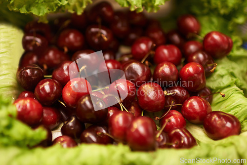 Image of Harvest, natural and bunch of organic cherries for nutrition, health and wellness diet snack. Sustainable, supermarket and delicious fresh red fruit for vitamins on display in grocery store or shop.