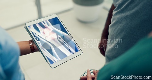 Image of Doctor, results or hands with tablet or bone in consultation for physical therapy or medical information. Screen, broken or doctor speaking of knee injury or accident to patient for rehabilitation