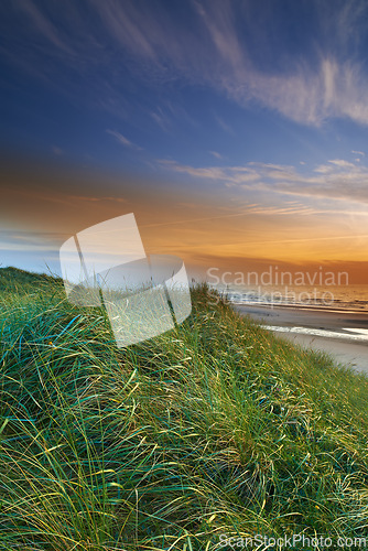 Image of Dune grass, sunset and beach in landscape, nature and environment for outdoor. Ocean, water and clouds in blue sky with scenic view evening, sand and waves or shoreline or seaside in summer or winter