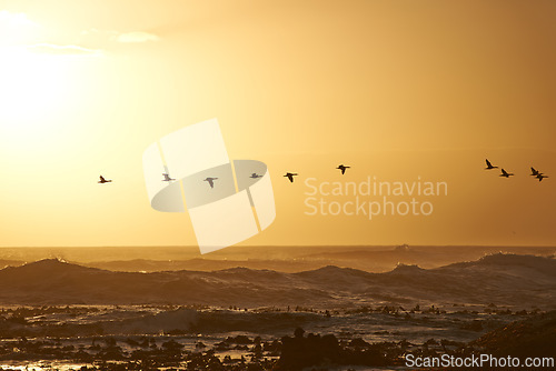 Image of Sunrise landscape, waves and birds flying over ocean rocks, clouds and golden sky in beach. Morning, scenic view and sunshine in island or sea with stones, summer or winter and environment for peace