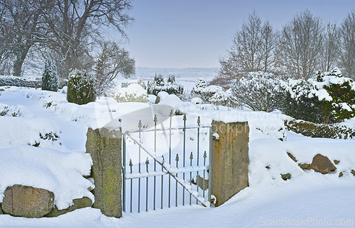 Image of Winter, landscape or gate in forest or snow on frozen morning for weather, climate or cold season. Outdoor, nature or destination in woods for ecosystem background, environment or natural habitat