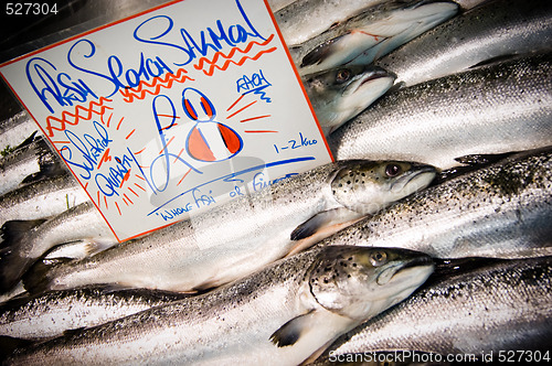 Image of Selection of fresh Scotish Salmon