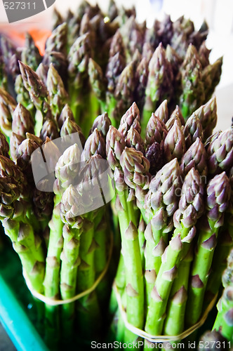 Image of Bunch of Asparagus 